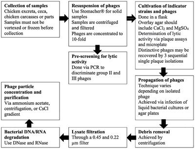 Application of Bacteriophages to Limit Campylobacter in Poultry Production